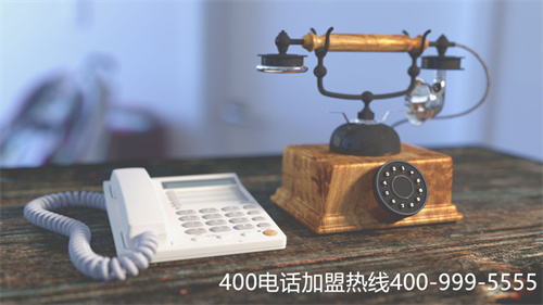 海南資費400公司（描寫海南家鄉(xiāng)的作文）